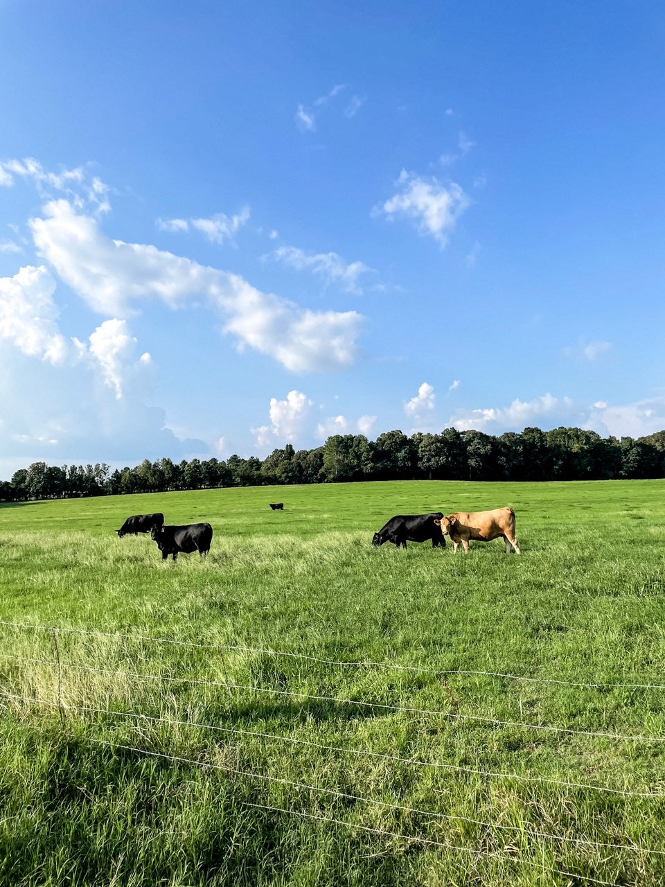 Wannabe Farms